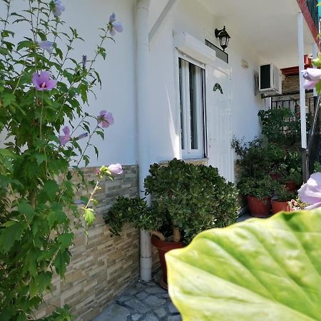 Villa Kostas Parga Esterno foto